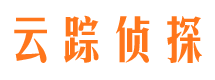 临城市调查公司